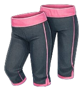 3/4 legíny