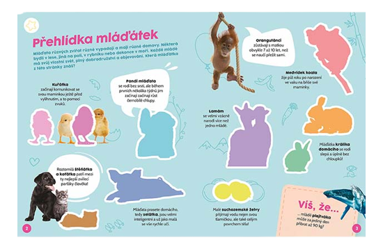 Poznávací samolepková knížka mláďátka - foto 3