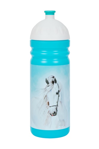 Zdravá lahev 0,7l 